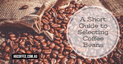 How to select coffee beans